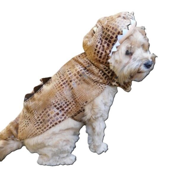 Dog Costume Dinosaur Brown Reptile Print MEDIUM Length 14-17" Girth 19-23" NWT - Picture 1 of 8